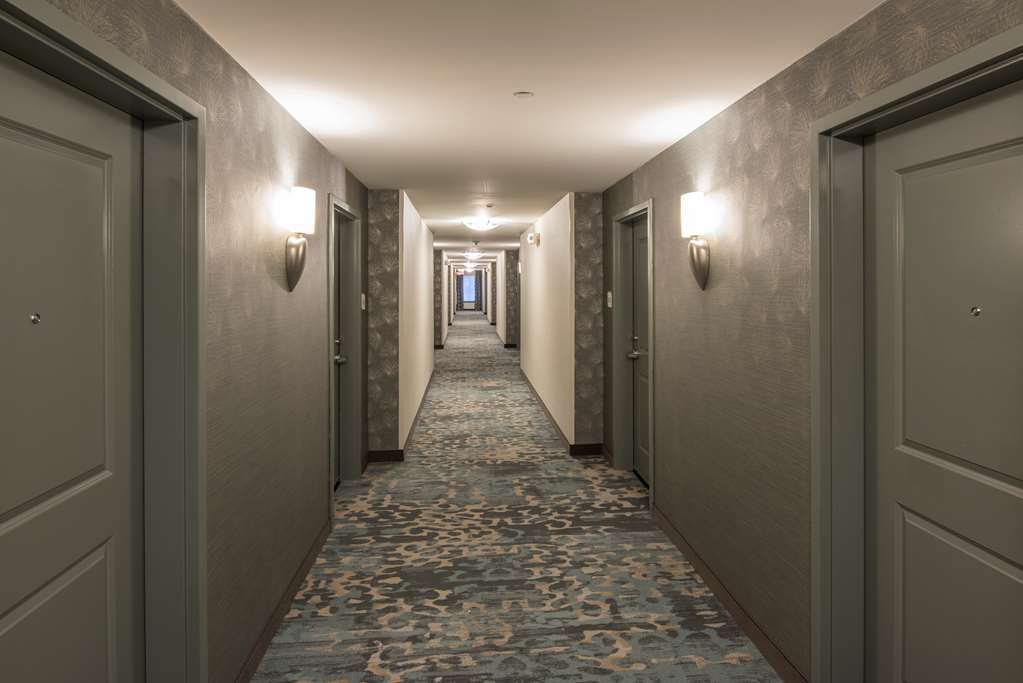 Hilton Garden Inn Mount Holly/Westampton Interior photo